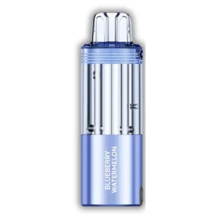 Blueberrry Watermelon Foger Switch 30K Puffs Pod only