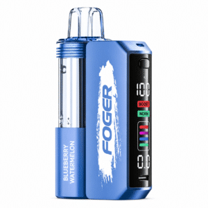Blueberrry Watermelon Foger Switch 30K Puffs Pod Kit