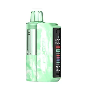 Dragon Melon Foger Switch 30K Puffs Pod Kit