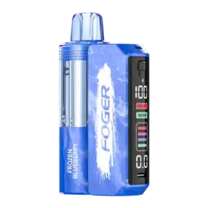Frozen Blueberry Flavor Foger Switch 30K Puffs Pod Kit