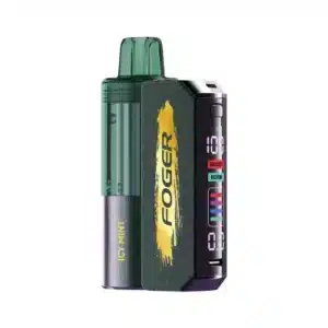 Icy Mint Foger Switch 30K Puffs Pod Kit