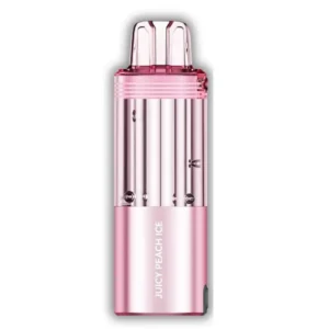 Juicy Peach Ice Foger Switch 30K Puffs Pod only