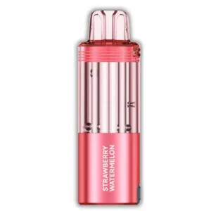 Strawberry Watermelon Foger Switch 30K Puffs Pod only