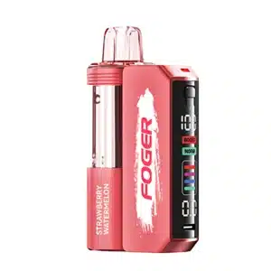 Strawberry Watermelon Foger Switch 30K Puffs Pod Kit